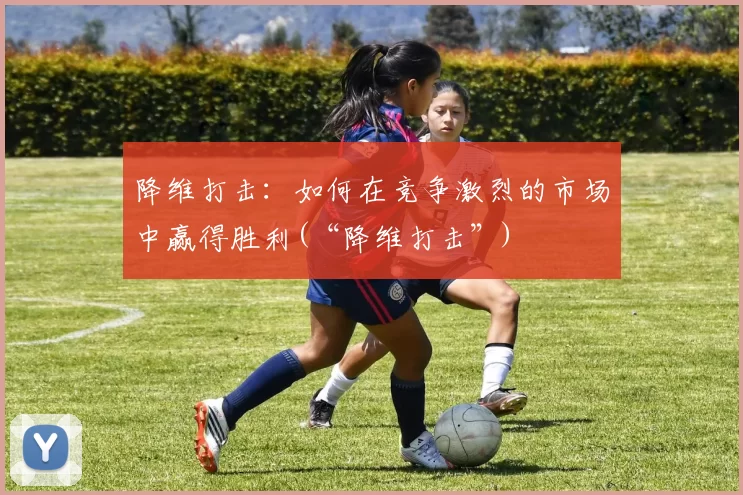 降维打击：如何在竞争激烈的市场中赢得胜利(“降维打击”)