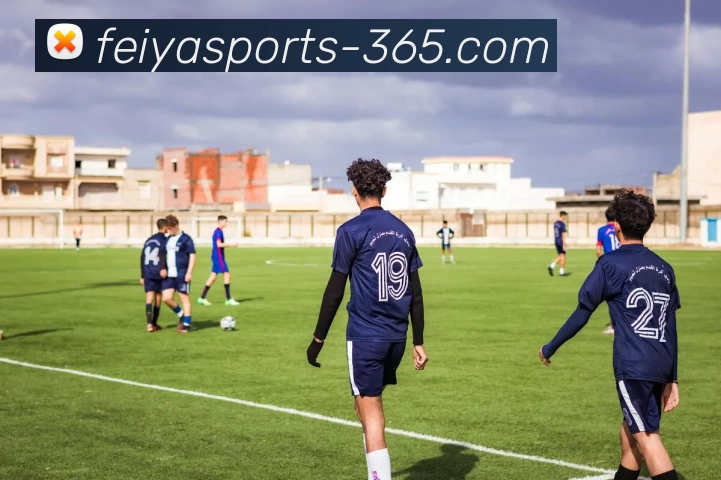 飞亚体育平台发展历程